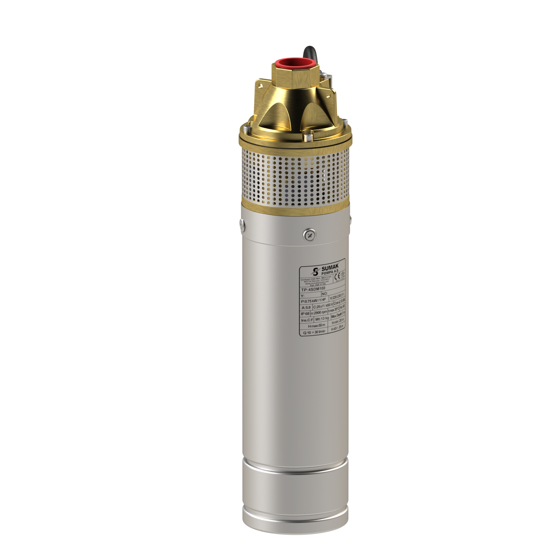 0,75 KW 4'' PASLANMAZ DALGIÇ POMPA 4SDM100